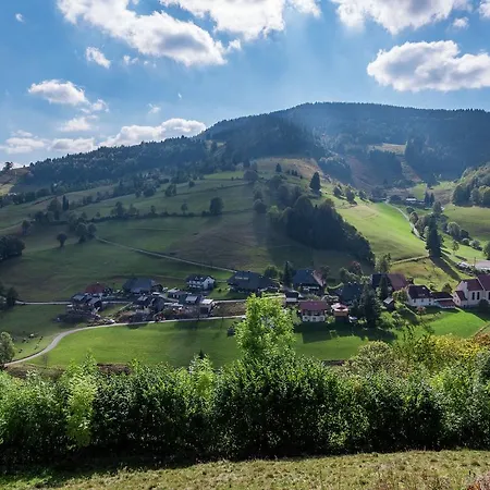 Spacious In Black Forest Near Ski Area