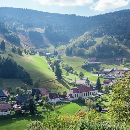 Spacious In Black Forest Near Ski Area * Wieden
