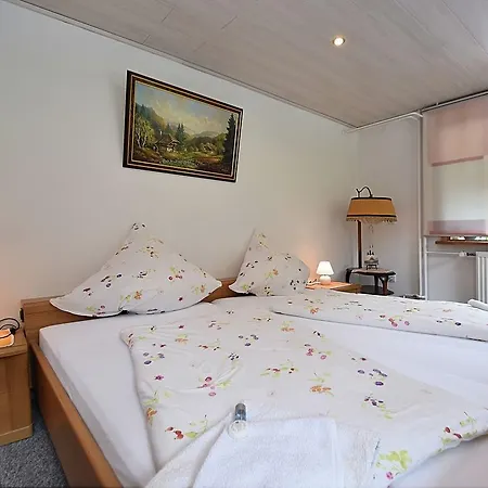 Spacious In Black Forest Near Ski Area Wieden