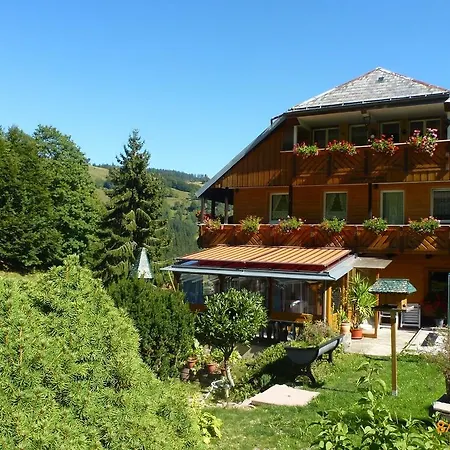 Spacious In Black Forest Near Ski Area Apartamento *