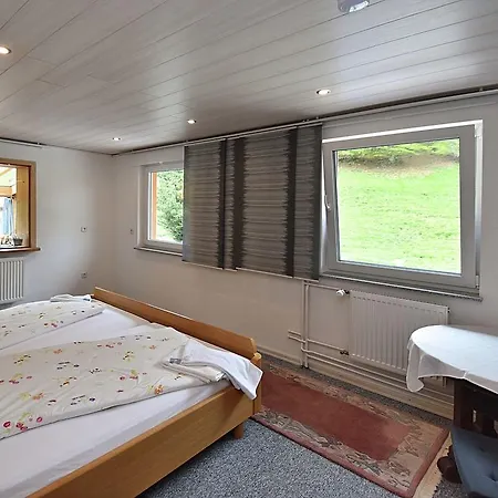 Spacious In Black Forest Near Ski Area