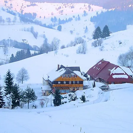 Spacious In Black Forest Near Ski Area *