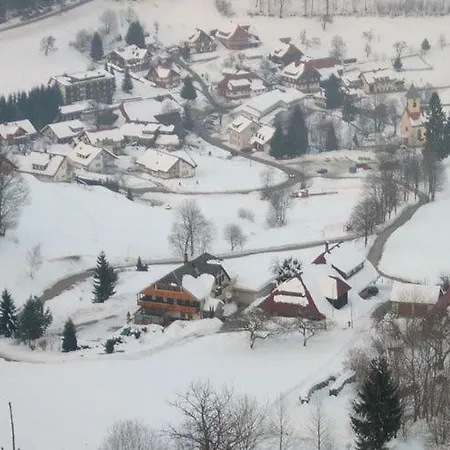 Spacious In Black Forest Near Ski Area Apartamento Wieden